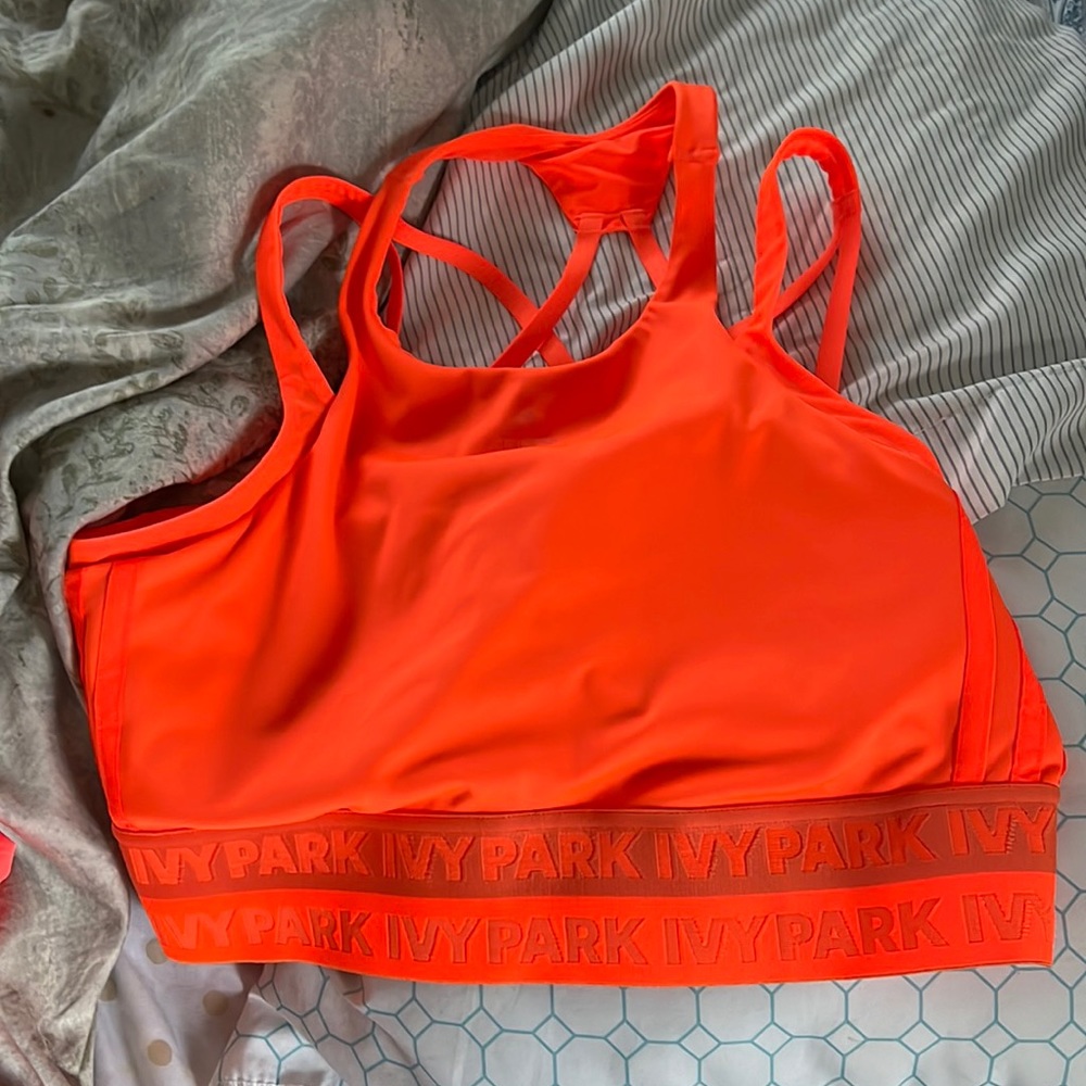 Ivy park sports bra